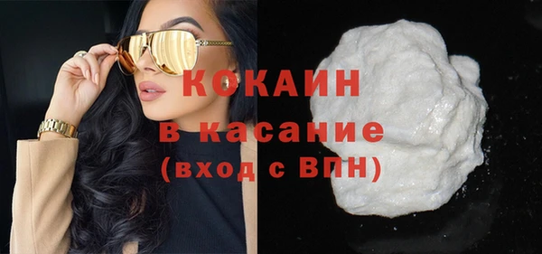 стафф Ельня
