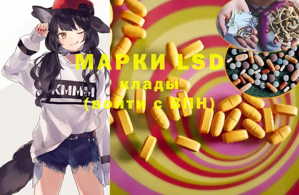 стафф Ельня