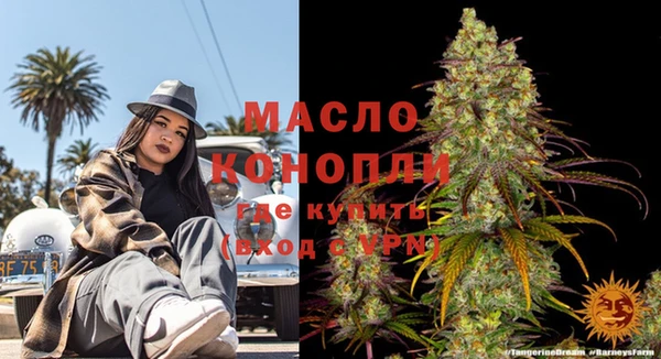 стафф Ельня