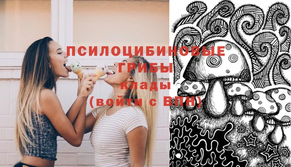 apvp Елизово