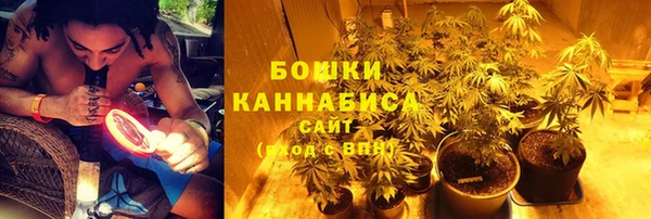 стафф Ельня
