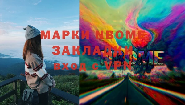 стафф Ельня