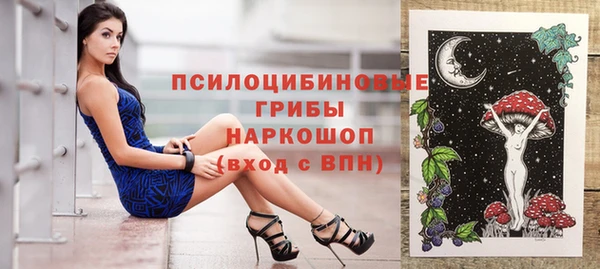 apvp Елизово