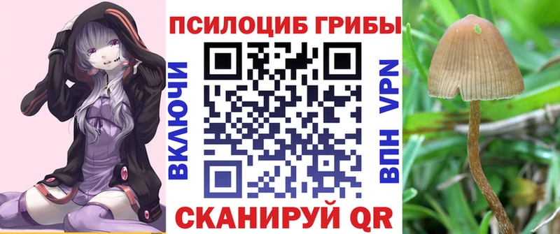 Псилоцибиновые грибы Magic Shrooms  Купить где  Нефтегорск 
